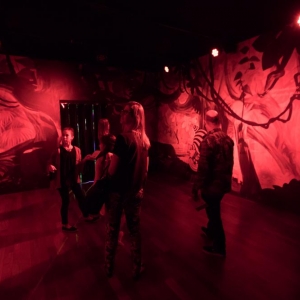 Exposição Alice no País das Maravilhas ONG Orientavida JK 